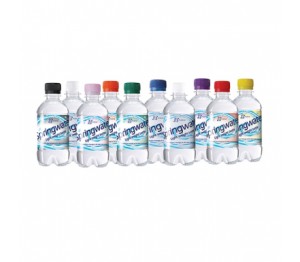 Waterflesje 330 ml. met eigen opdruk (platte dop)