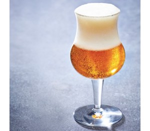 Degustatie bierglas 27 cl